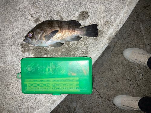 日本鋼管付近