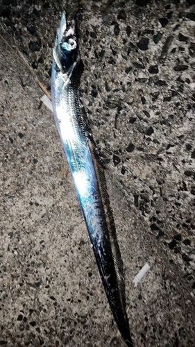 豊浜漁港