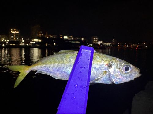垂水漁港