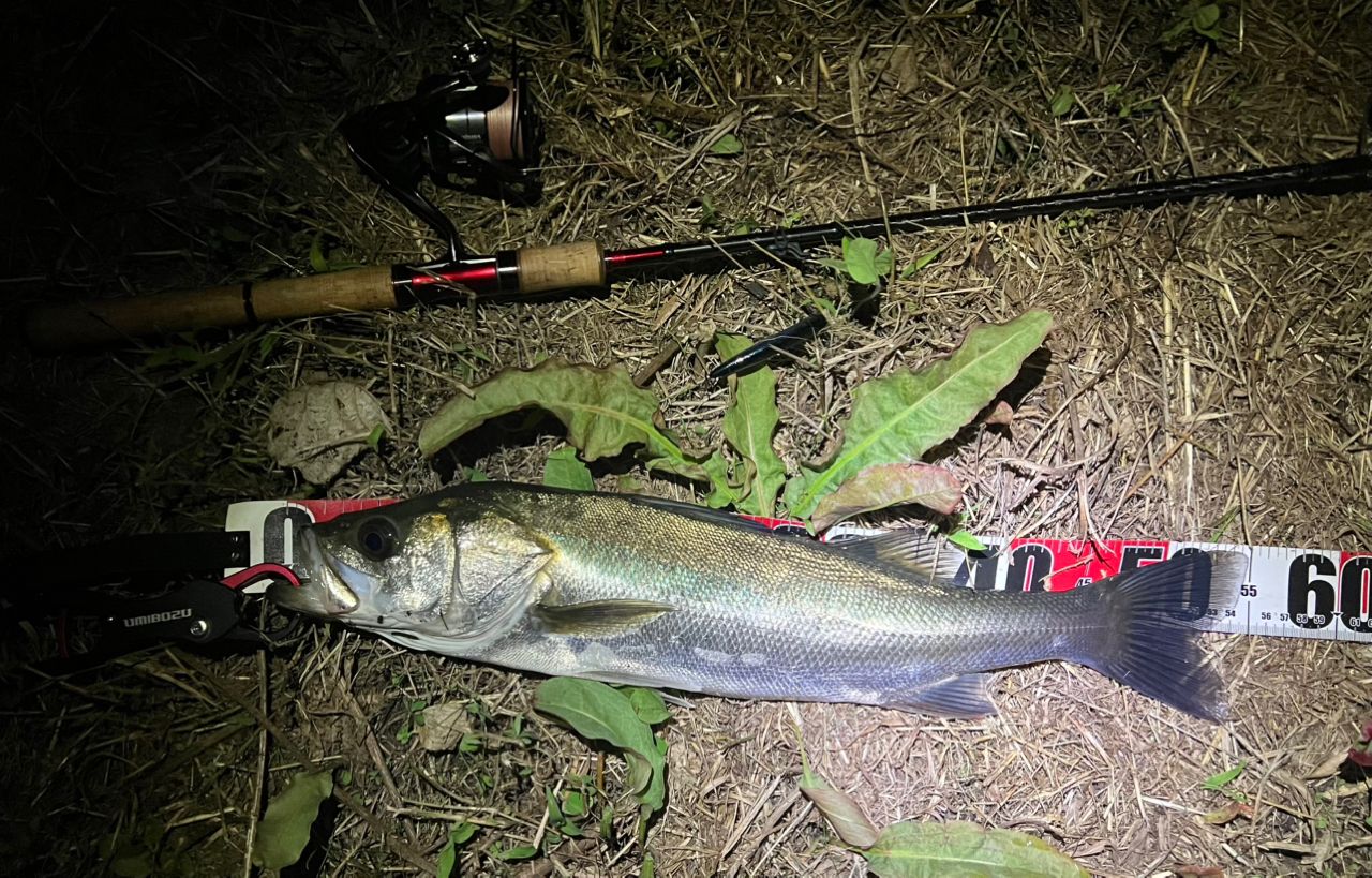 SHIMANO 19 スコーピオン 2651R-5 パックロッド