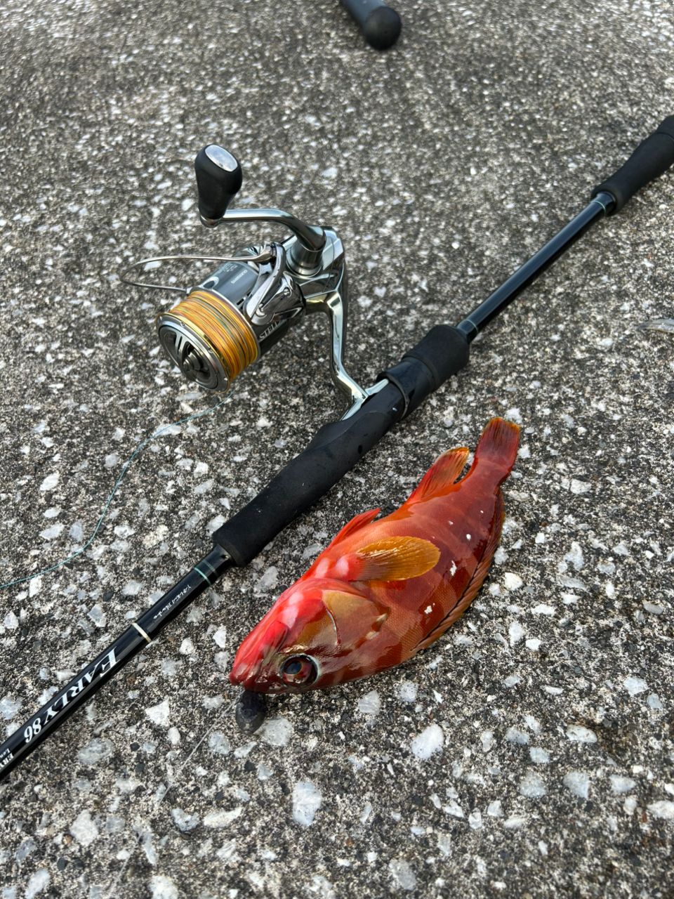 YAMAGA Blanks アーリー・フォーロック 86MHの最安値・インプレ・釣果