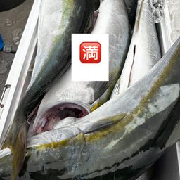 ヤズ
