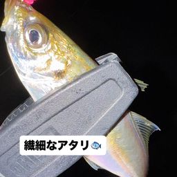 アジ