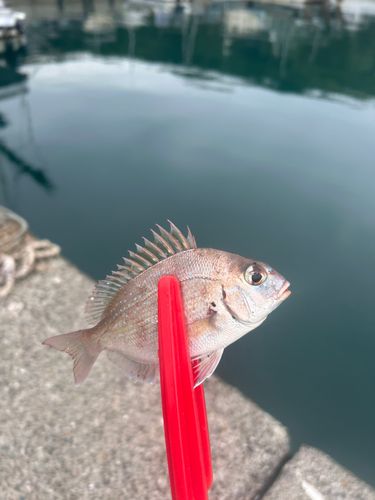 塩津漁港
