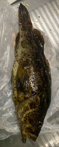 松ヶ崎（今治）