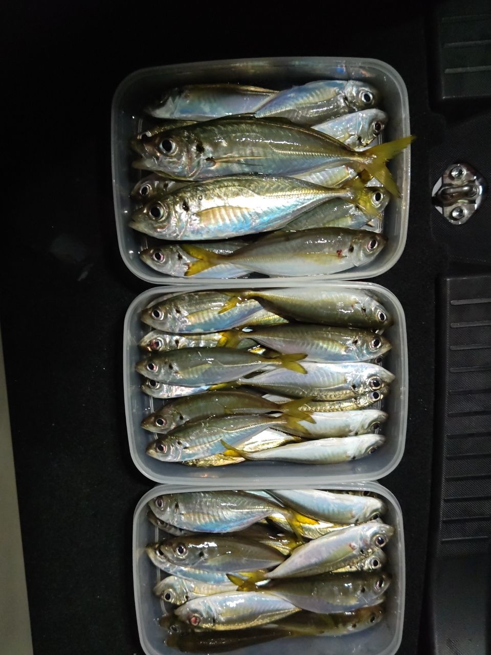 OLYMPIC 21コルト・プロトタイプ 21GCORPS-552UL-HSの最安値