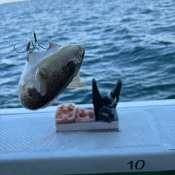 ショウサイフグ