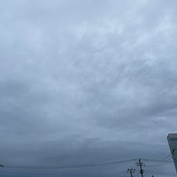 ワカシ