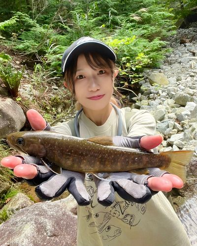 岐阜県北部