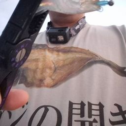 アジ