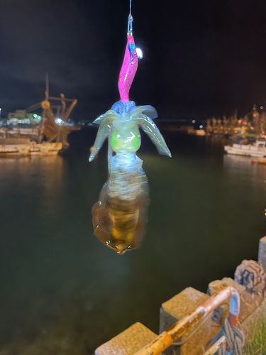 明石浦漁港