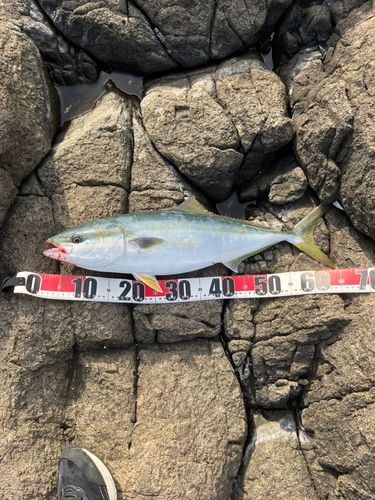 津軽海峡
