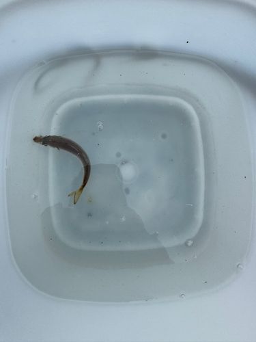 知多湾