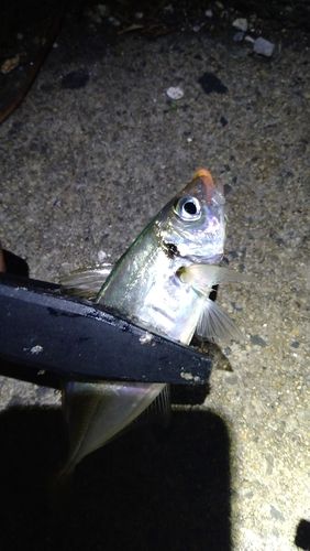 小名浜港アクアマリンふくしま周辺