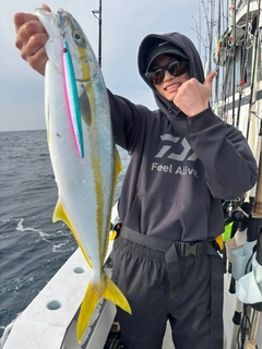 ヒラマサの釣果