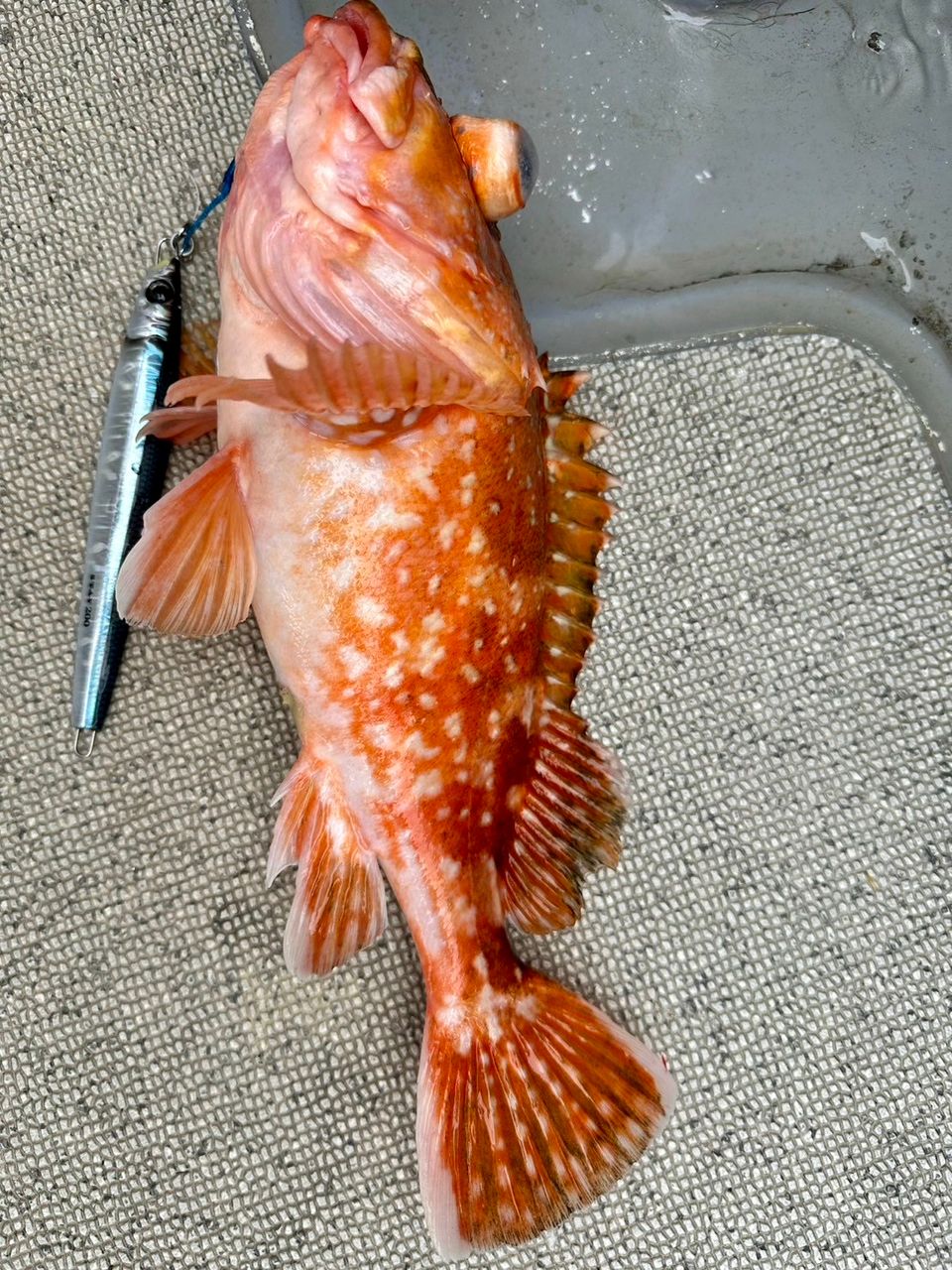 DAIWA 16ブラスト 4500Hの最安値・インプレ・釣果 | 本音の口コミが