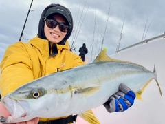 ヒラマサの釣果