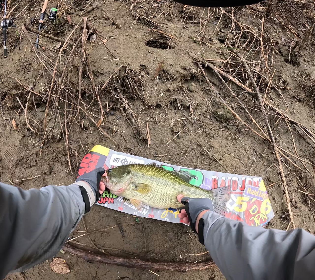 ブラックバスの釣果写真