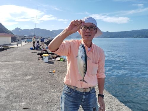 スマガツオの釣果