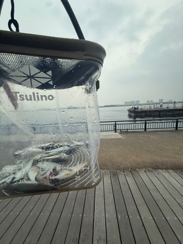 新居海釣公園
