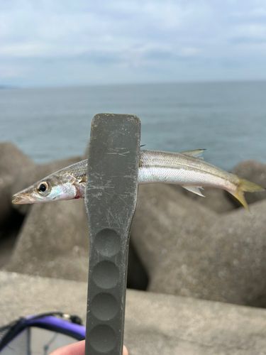 富山湾