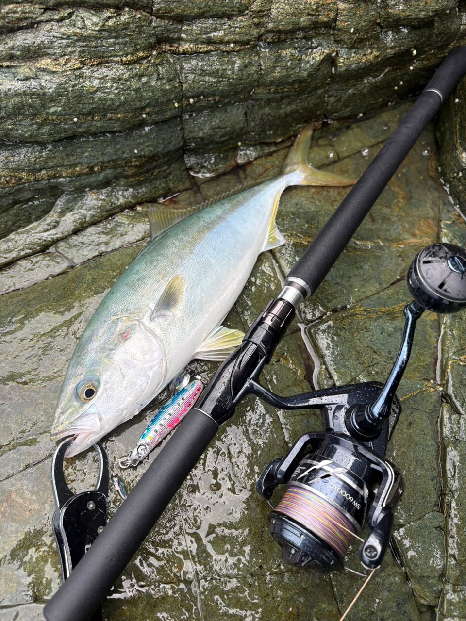 ダイワ ショアジギングロッド ドラッガー X 96M 23年モデル