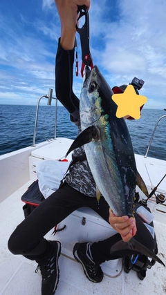 コシナガマグロの釣果