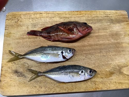 本牧海づり施設