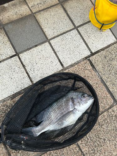 言問橋