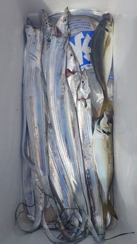 伊勢湾