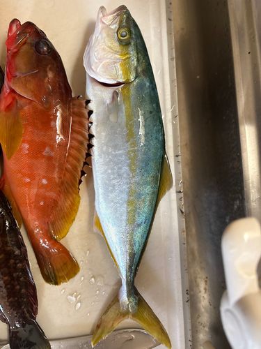 静岡県東部