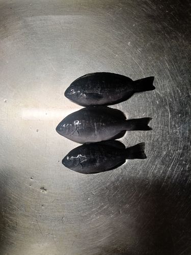 波切漁港