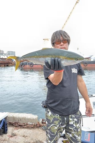 ツバスの釣果