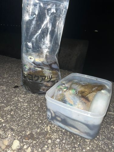 白石ノ鼻