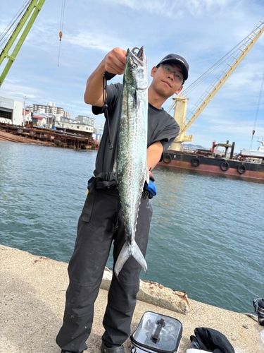 タチウオの釣果