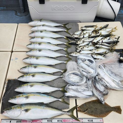 大阪湾