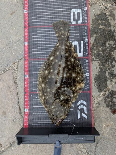 表浜名湖