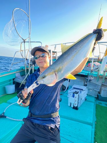 ヒラマサの釣果