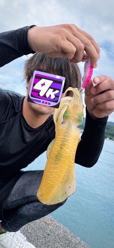 太平洋