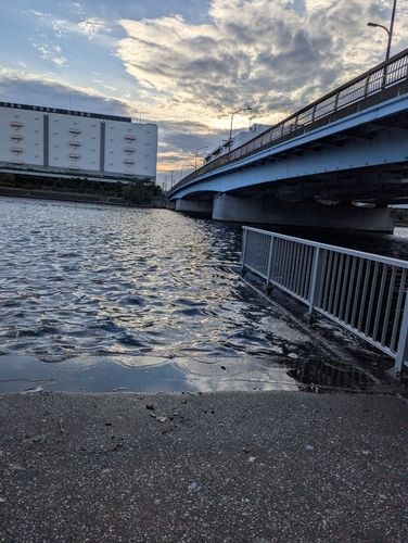 京浜運河