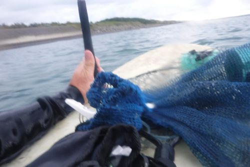 釣果
