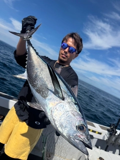 コシナガマグロの釣果