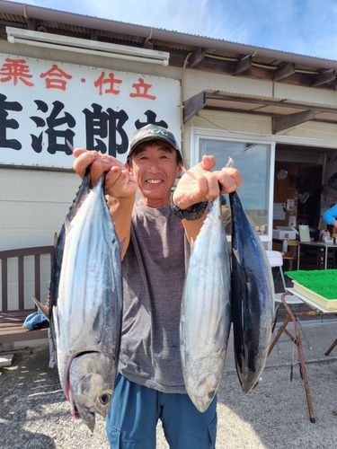 カツオの釣果