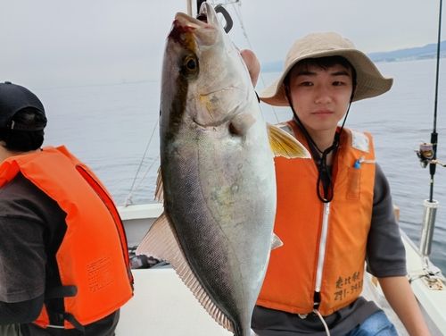 シオの釣果