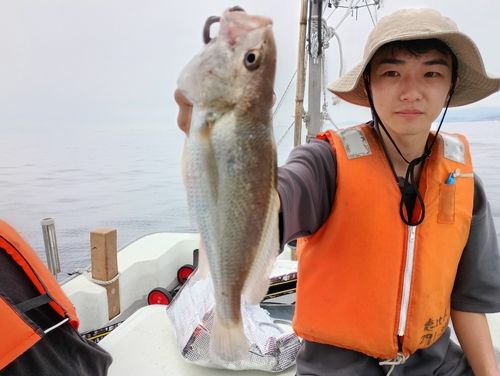 イシモチの釣果
