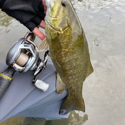 スモールマウスバス