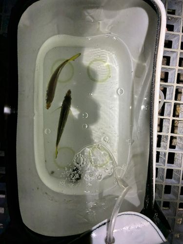豊浜漁港