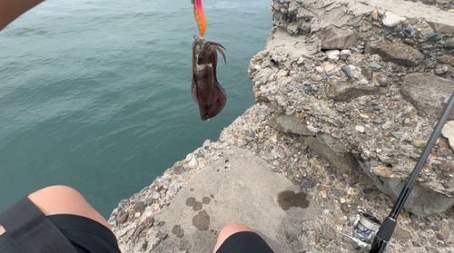 三津埠頭