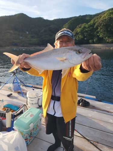 シオの釣果