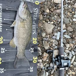 スモールマウスバス